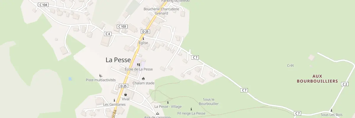 Plan du 10 Rte de la Borne au Lion à La Pesse
