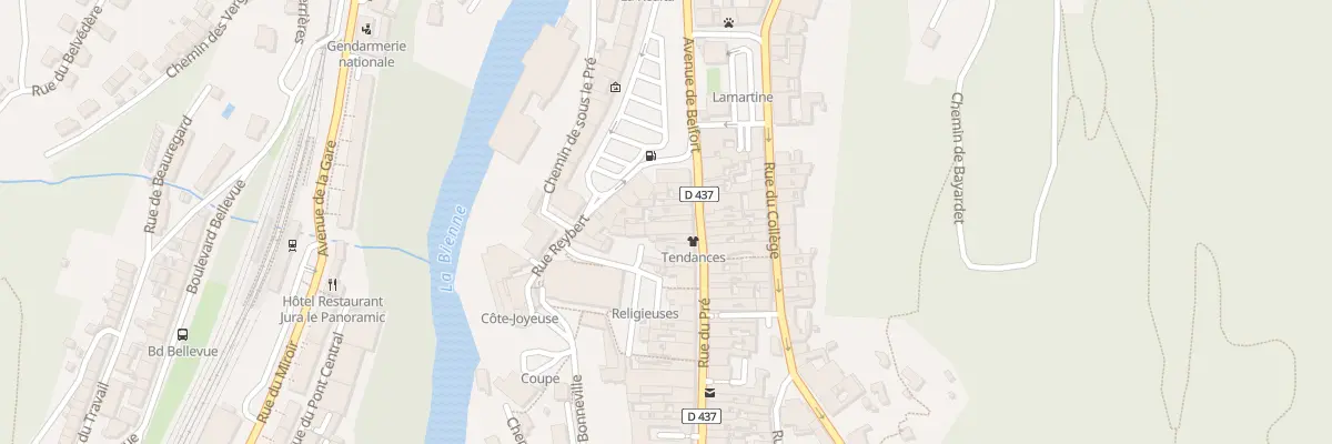 Plan du 57 Rue du Pré à Saint-Claude