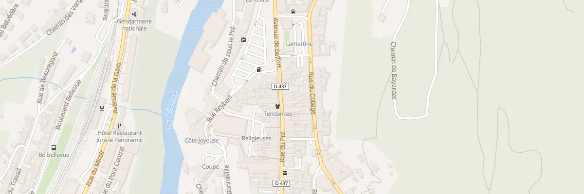 Plan du 60 Rue du Pré à Saint-Claude