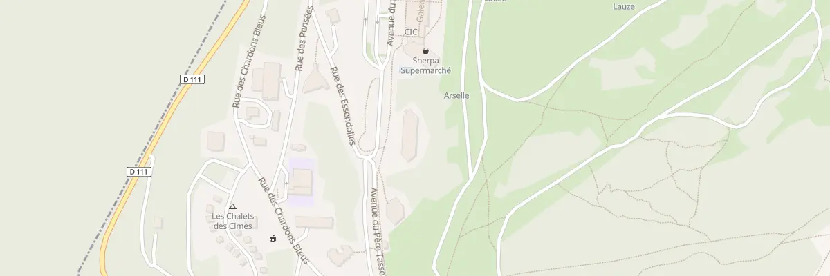 Plan du 310 Av du Pere Tasse à Chamrousse