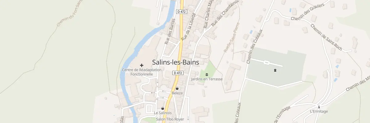 Plan du 31 Rue Charles Magnin à Salins-les-Bains
