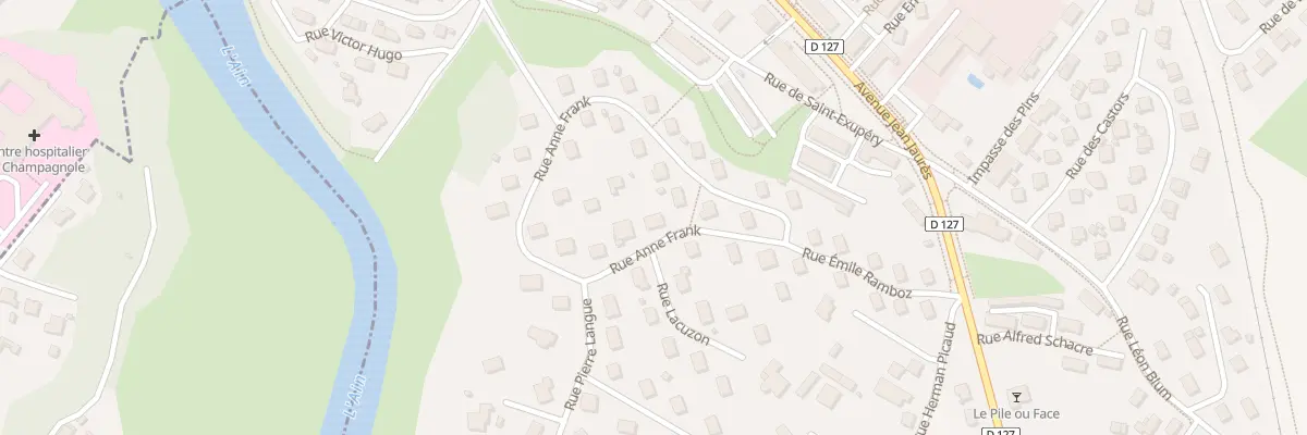 Plan du 29 Rue Anne Frank à Champagnole
