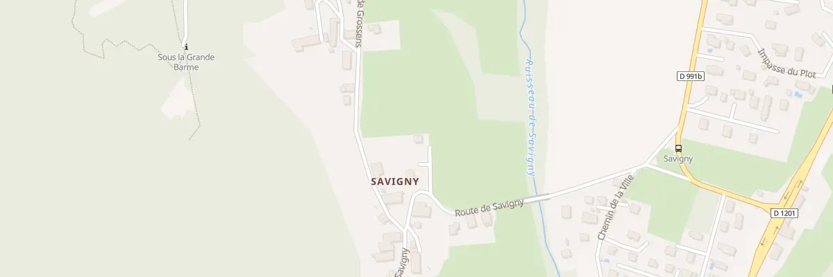 Plan du 334 Rte de Savigny à La Biolle