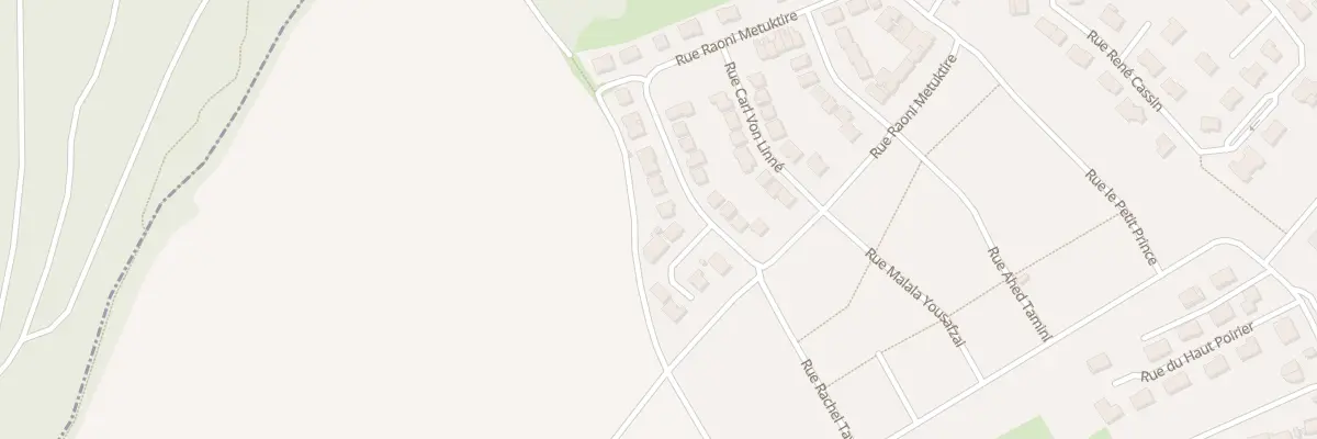 Plan du 46 Rue Raoni Metuktire à Villerupt