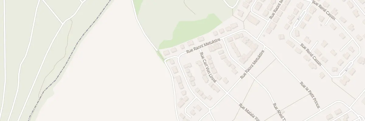 Plan du 53 Rue Raoni Metuktire à Villerupt