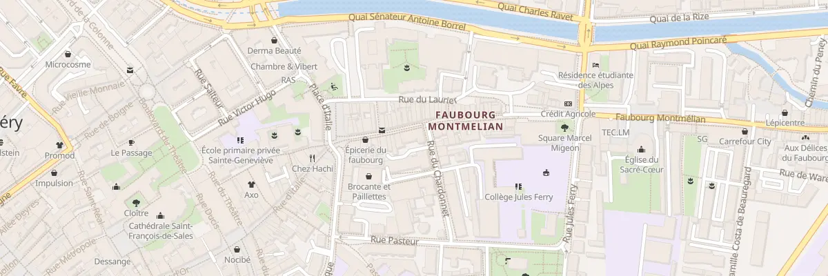 Plan du 74 Fg Montmélian à Chambéry