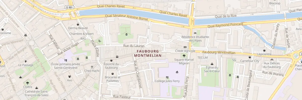 Plan du 161 Fg Montmélian à Chambéry
