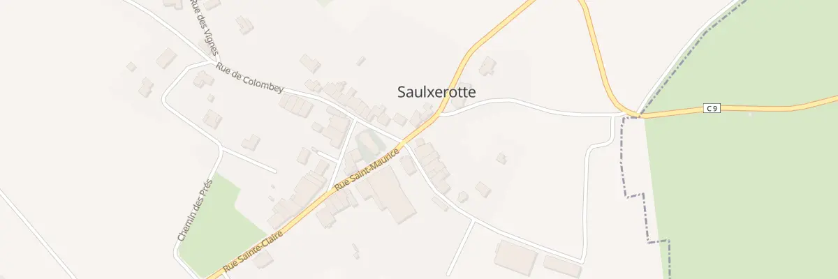 Plan du 1 Rue du Professeur Simonet à Saulxerotte