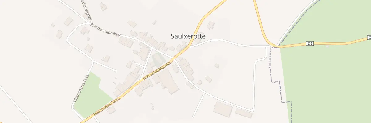Plan du 3 Rue du Professeur Simonet à Saulxerotte