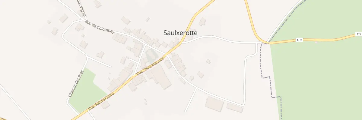 Plan du 5 Rue du Professeur Simonet à Saulxerotte