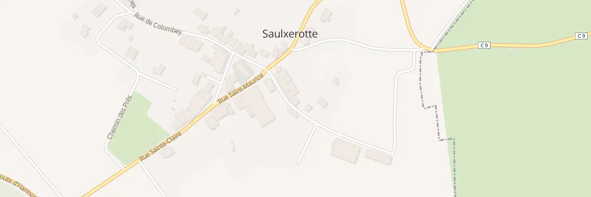 Plan du 13 Rue du Professeur Simonet à Saulxerotte