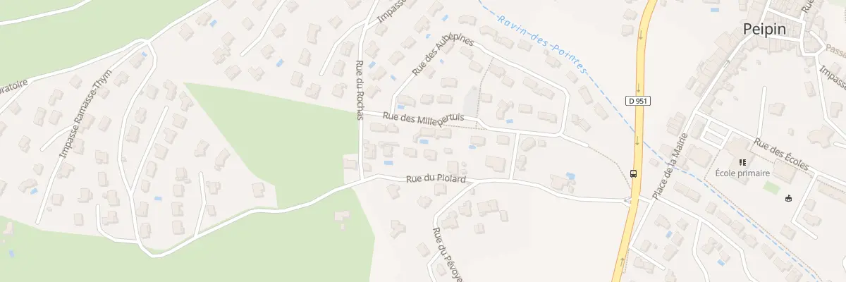 Plan du 7 Rue des Millepertuis à Peipin
