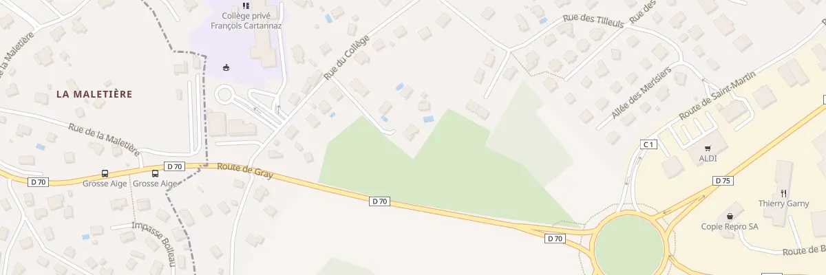 Plan du 53D Rue du College à Pirey