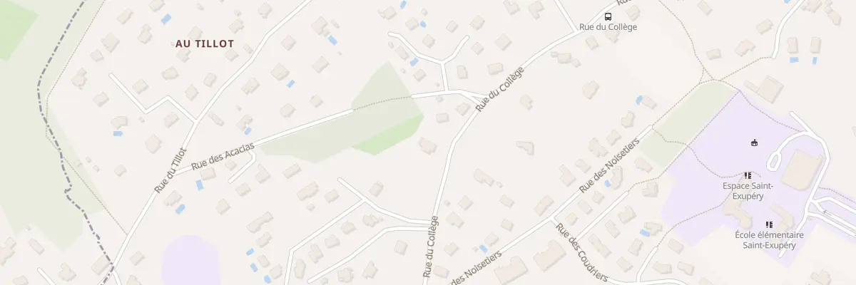 Plan du 38 Rue du College à Pirey