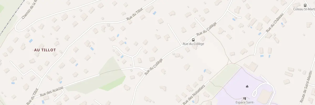 Plan du 30 Rue du College à Pirey