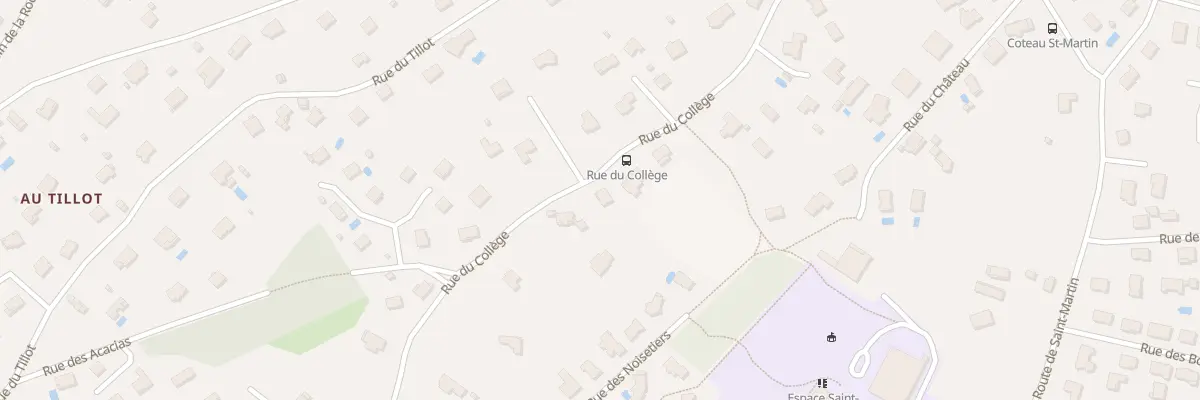 Plan du 21 Rue du College à Pirey