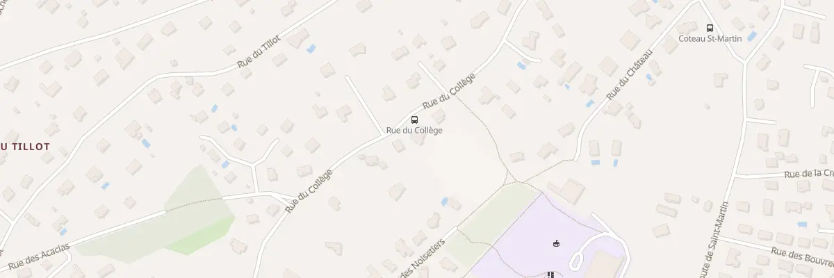 Plan du 19 Rue du College à Pirey