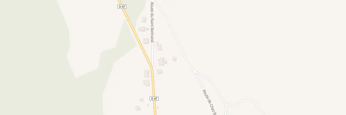 Plan du 166 Rte de chez Borgeat à Savigny