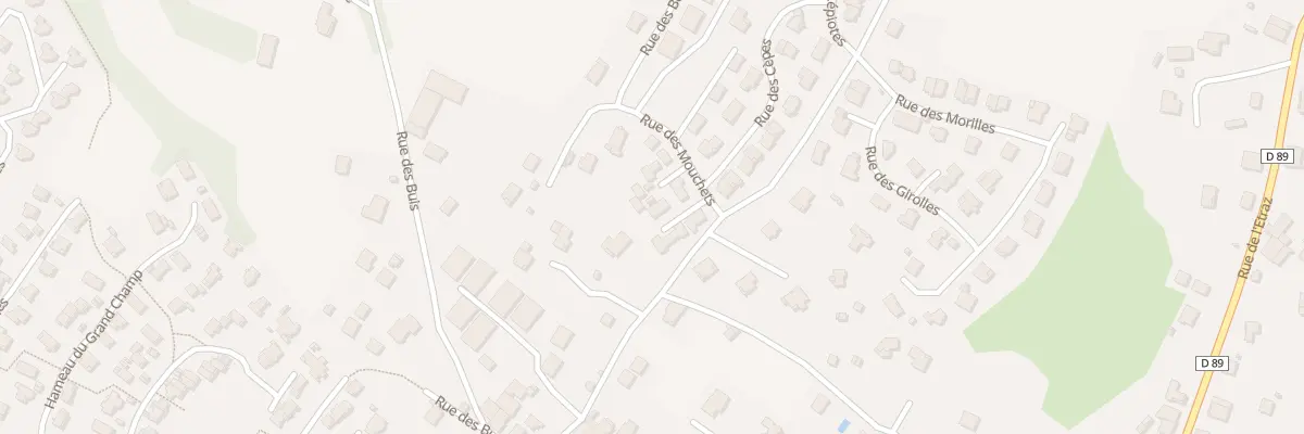 Plan du 183 Rue des Maladières à Thoiry