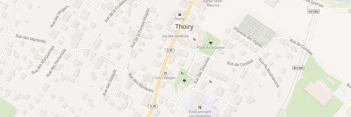 Plan du 421 Rue Briand Stresemann à Thoiry