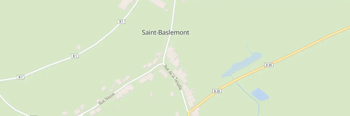 Plan du 31 Rue de la Tenaille à Saint-Baslemont