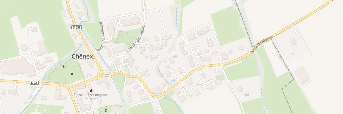 Plan du 50 Che du Chenevier à Chênex