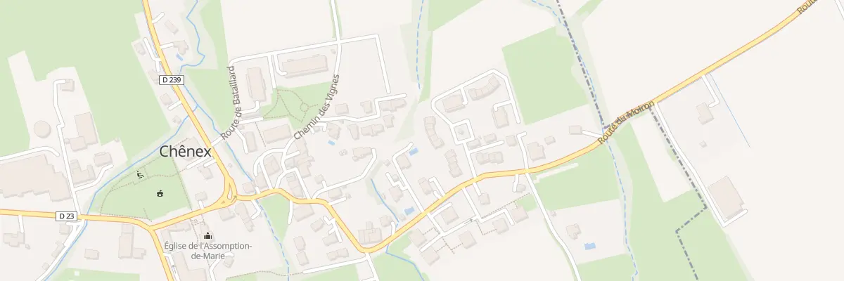 Plan du 528 Rte de Bataillard à Chênex