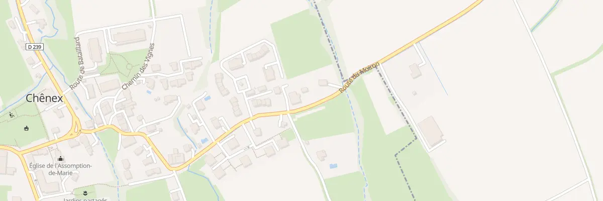 Plan du 333 Rte du Moiron à Chênex