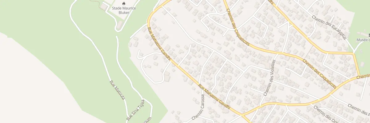 Plan du 103 Rue Mahatma Gandhy à Saint-Paul