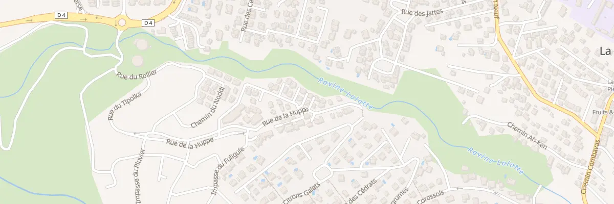 Plan du 49 Rue de la Huppe à Saint-Paul