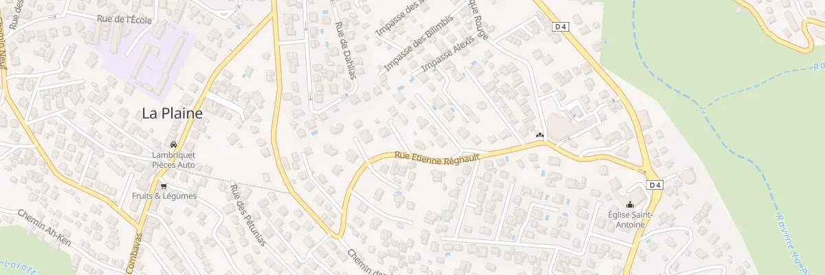 Plan du 33B Rue Regnault Etienne (Bdn) à Saint-Paul
