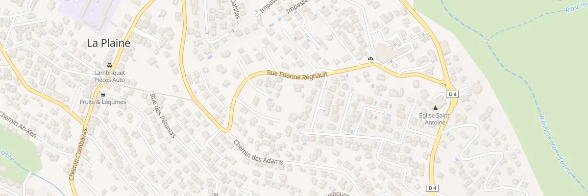 Plan du 66 Rue Regnault Etienne (Bdn) à Saint-Paul