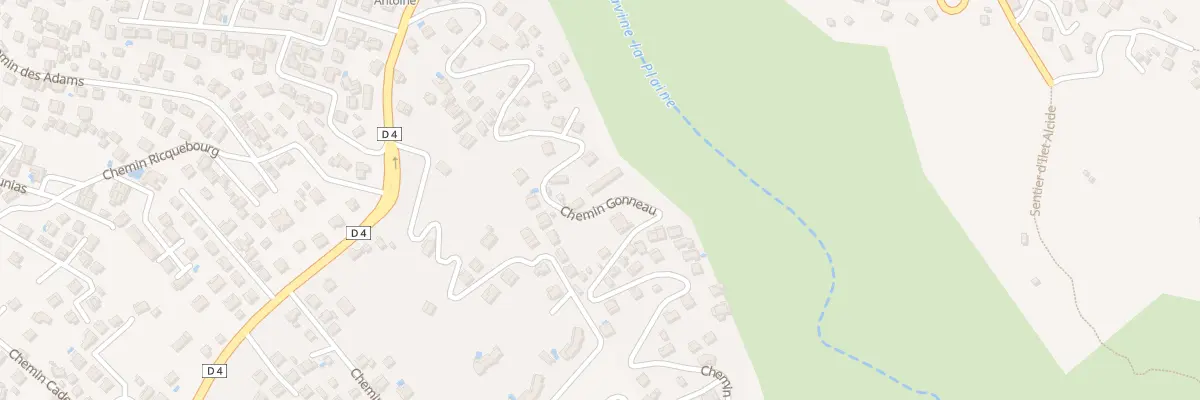 Plan du 41 Che Gonneau à Saint-Paul
