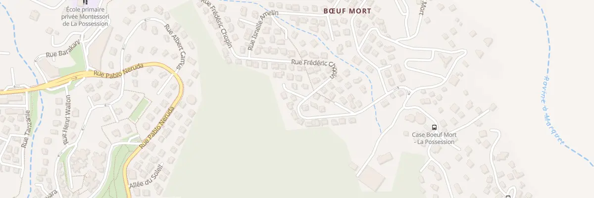Plan du 21 Rue Frédéric Chopin à La Possession