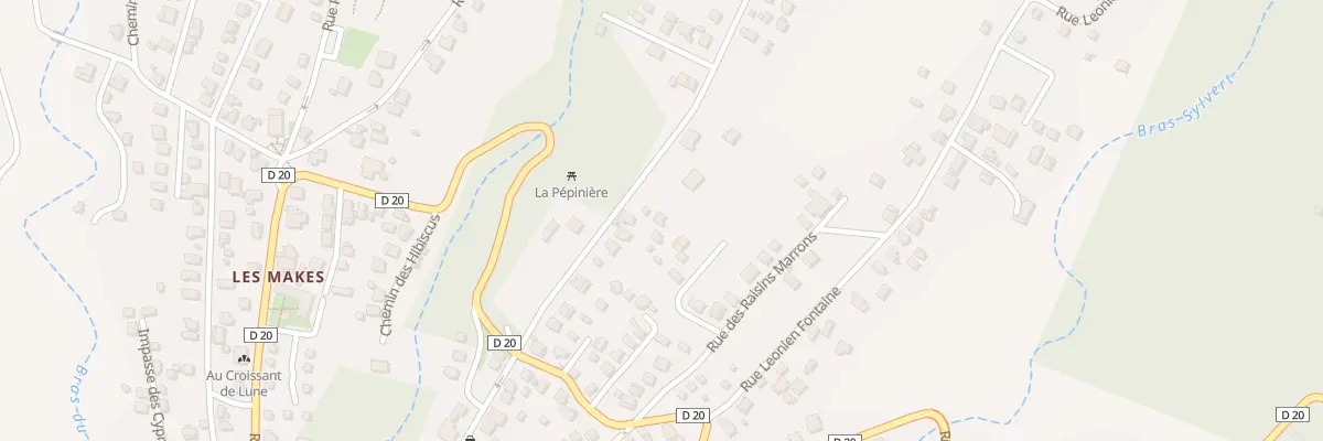 Plan du 60A Rue de la Pépinière à Saint-Louis