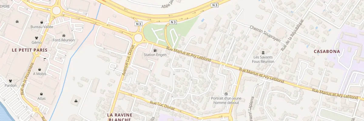 Plan du 219 Rue Marius et Ary Leblond à Saint-Pierre