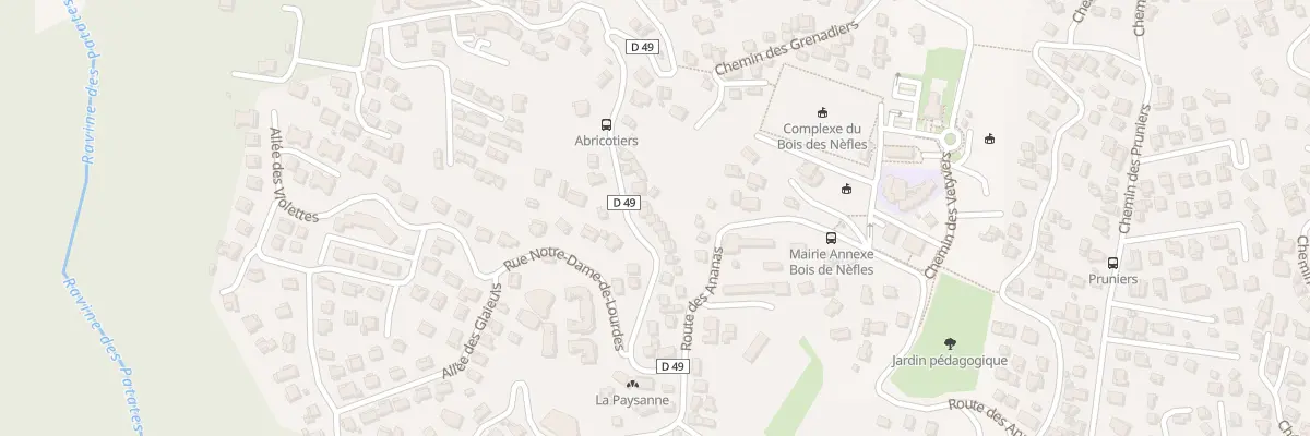 Plan du 285 Rte de Bois de Nefles à Saint-Denis