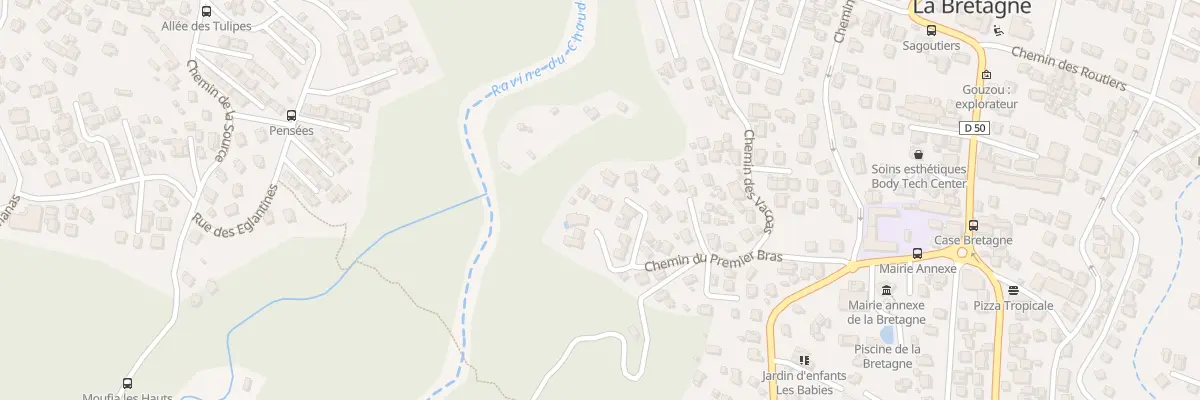 Plan du 29 Che du Premier Bras à Saint-Denis