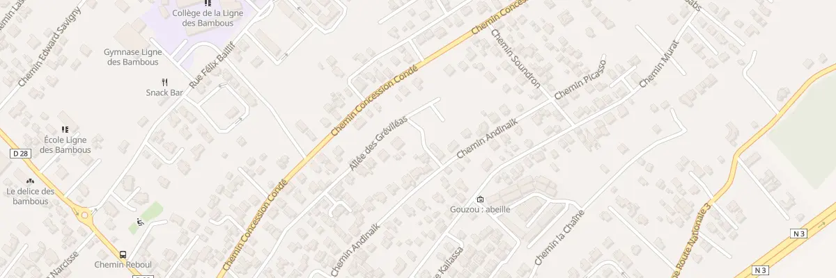 Plan du 98 All des Grevileas à Saint-Pierre