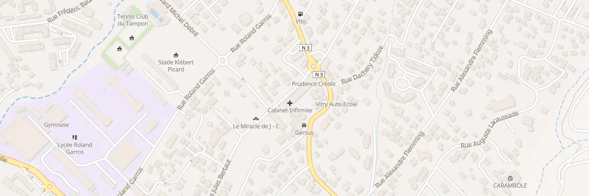 Plan du 238 Rue Jules Bertaut au Tampon