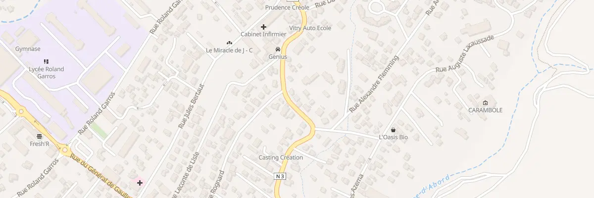 Plan du 316 Rue Marius et Ary Leblond au Tampon