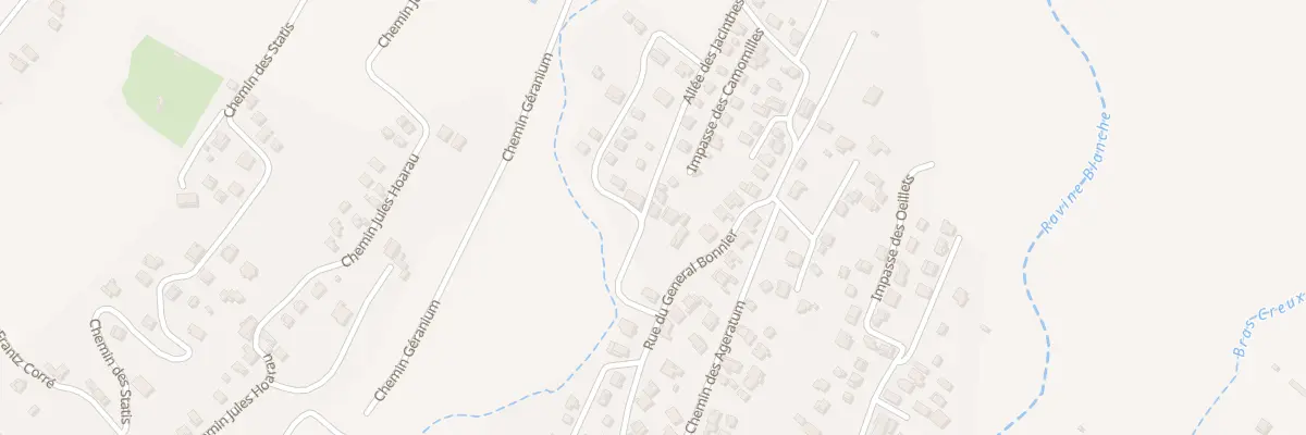 Plan du 187 Rue du Général Bonnier au Tampon
