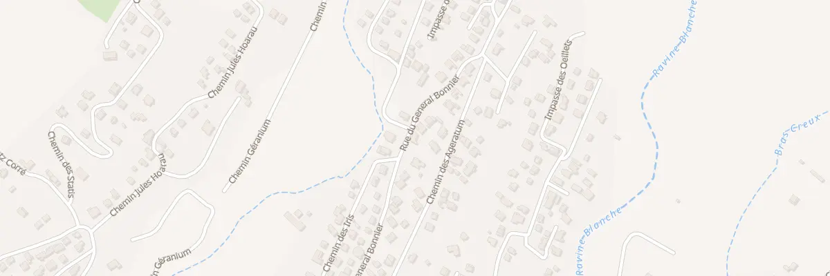 Plan du 162 Rue du Général Bonnier au Tampon