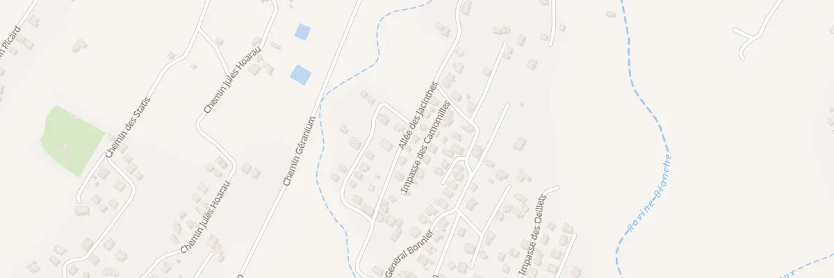 Plan du 229 Rue du Général Bonnier au Tampon