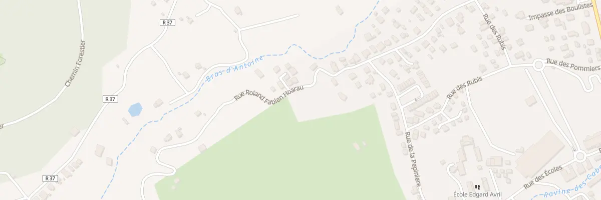 Plan du 38 Rue Roland Fabien Hoarau au Tampon