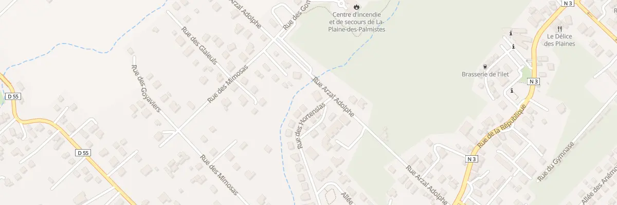 Plan du 47 Rue des Hortensias à La Plaine-des-Palmistes