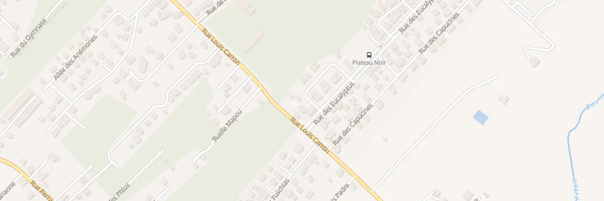 Plan du 22 Rue des Cypres à La Plaine-des-Palmistes