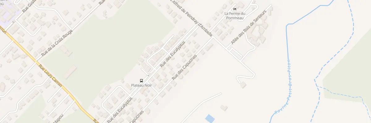 Plan du 23 Rue des Capucines à La Plaine-des-Palmistes