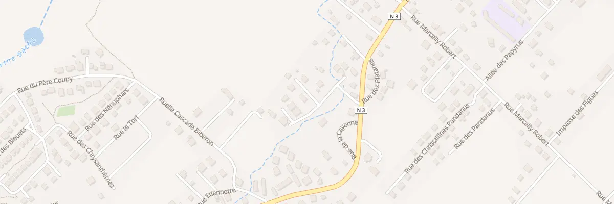 Plan du 24 Rue Georget Volcy à La Plaine-des-Palmistes