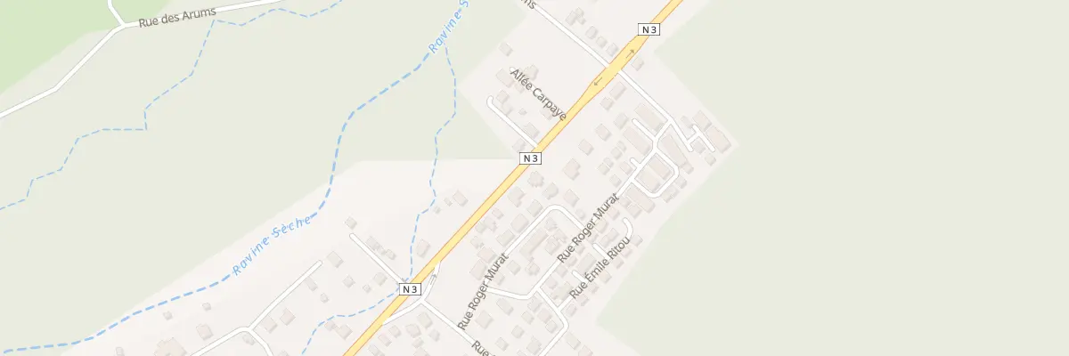 Plan du 93 Rue de la République à La Plaine-des-Palmistes